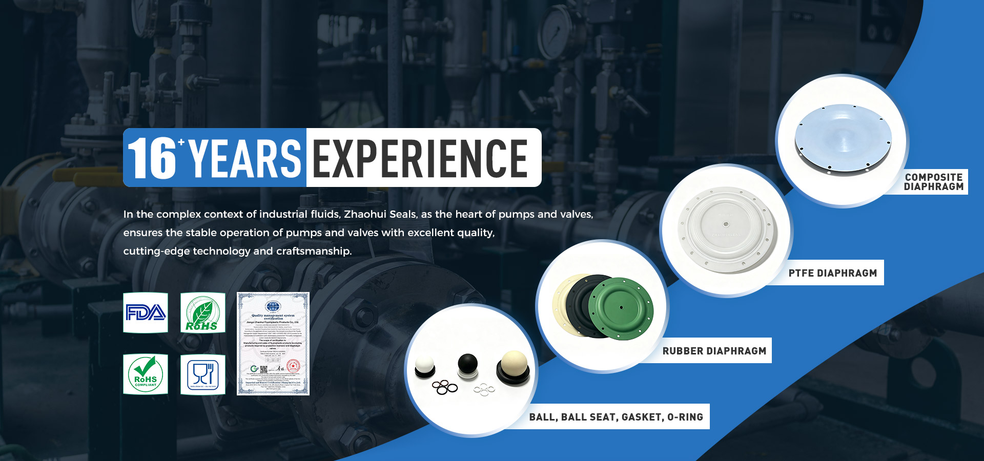 16+years experience