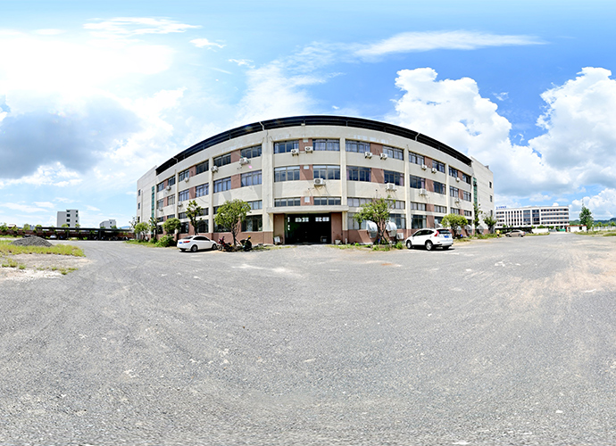 Why Choose Us