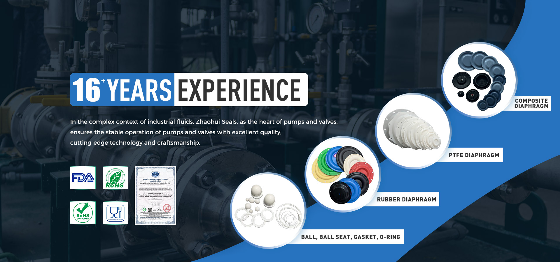 16+years experience