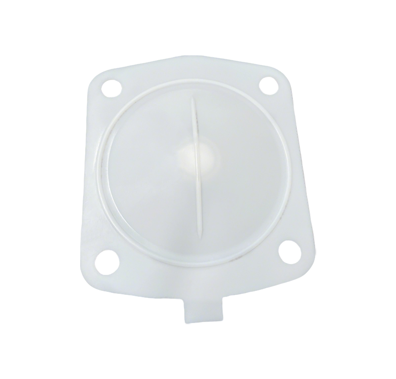PTFE Diaphragm