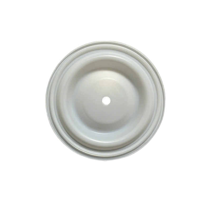 PTFE Diaphragm