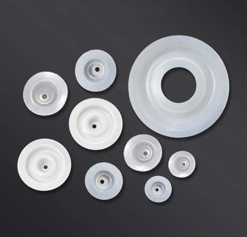 Metering Pump PTFE Diaphragm