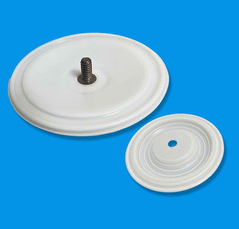 PTFE Diaphragm