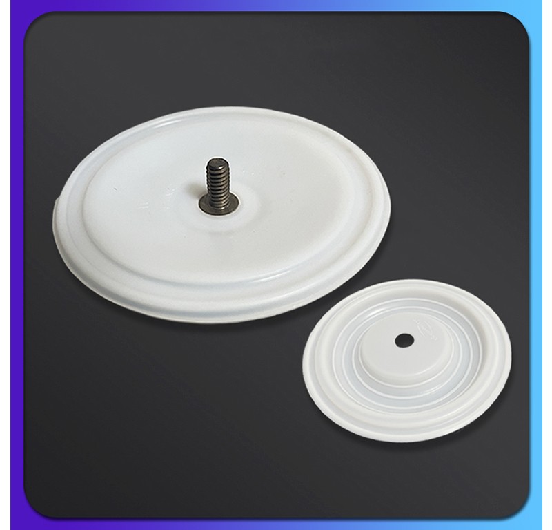 PTFE Diaphragm